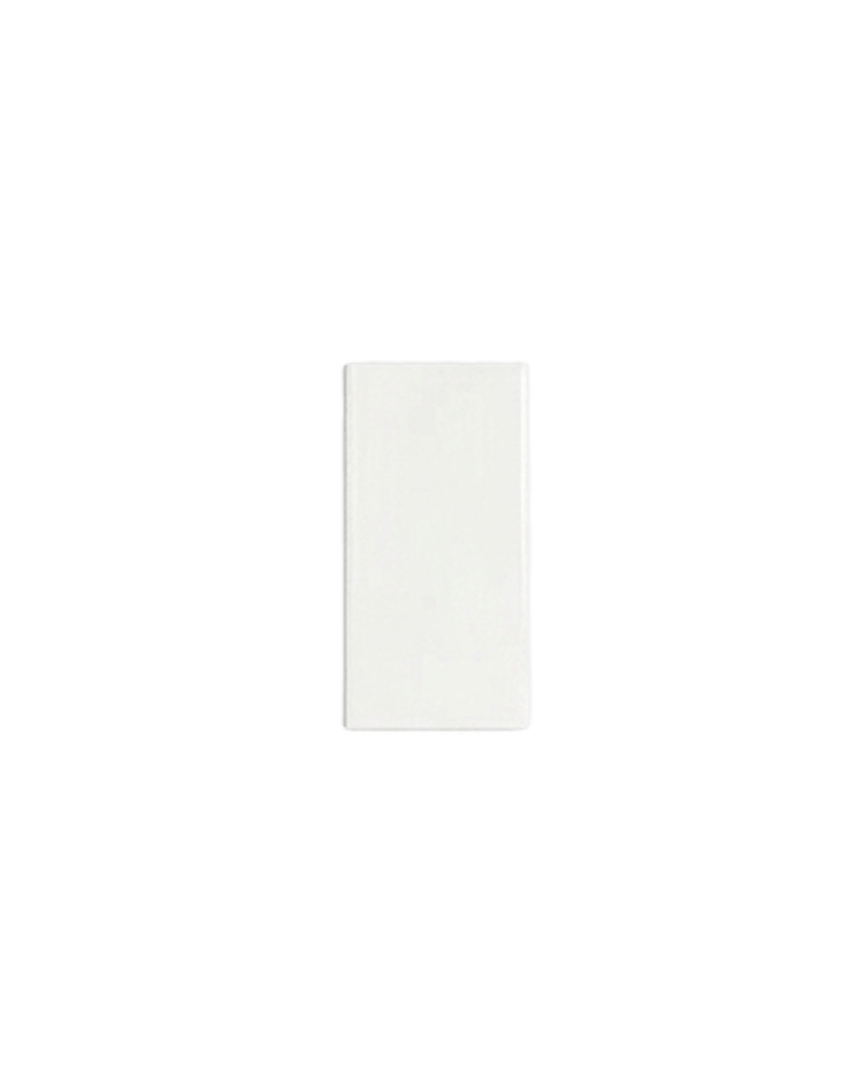 Gloss White Plain (Cushion)